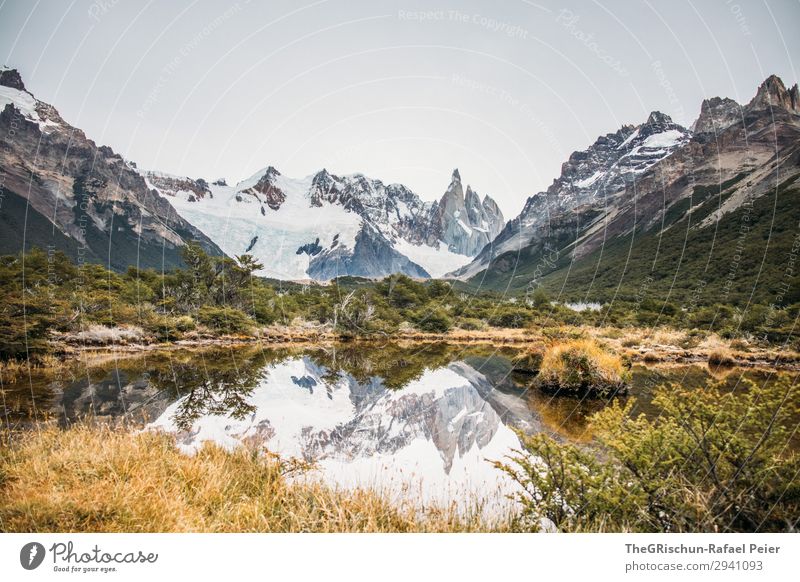 Cerro Torre Nature Landscape Yellow Gray Green White Mountain Water Lake Reflection Hiking Mountain range Vantage point Patagonia Glacier el chalten