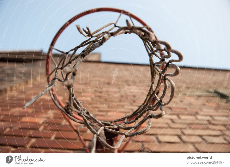 FORGET-ME-NOT Sports Ball sports Basketball Basketball basket Industrial plant Old Above Trashy Town Brown Red Decline Past Transience Colour photo