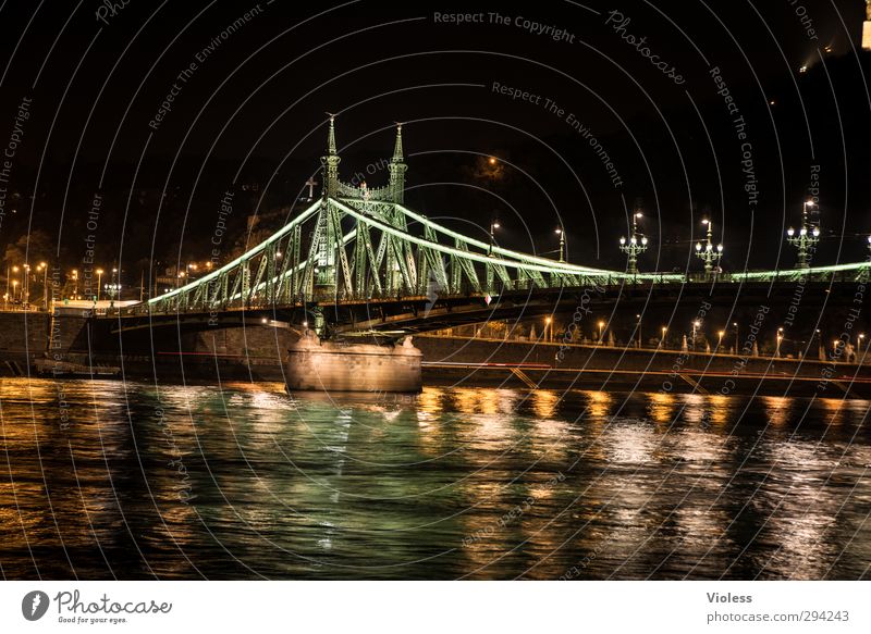 Szabadság híd Capital city Bridge Tourist Attraction Landmark Historic freedom bridge Budapest Danube Colour photo Night Long exposure