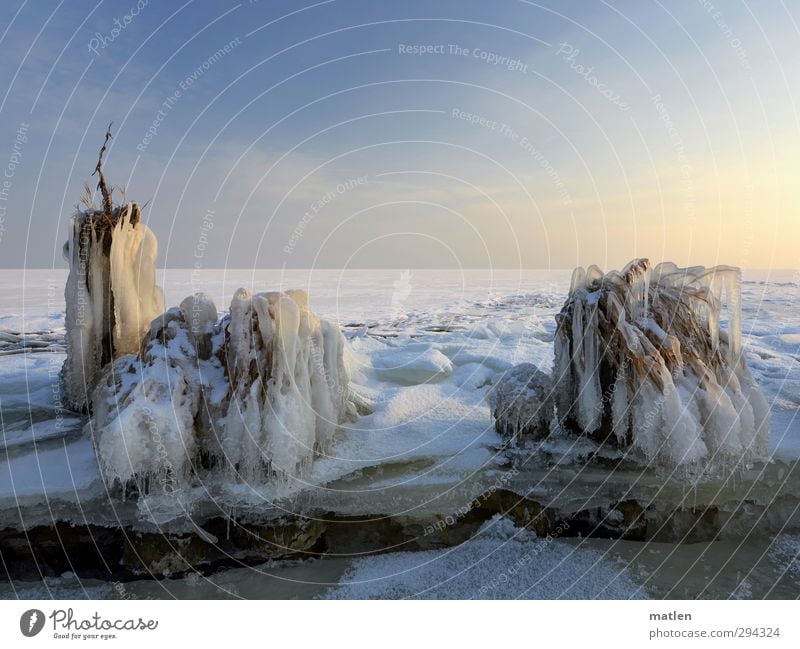 winter is back Landscape Sky Cloudless sky Horizon Sun Sunlight Winter Weather Beautiful weather Ice Frost Snow Tree Grass Bushes Coast Freeze Blue White Frozen