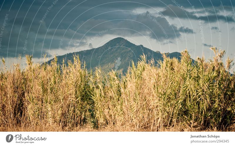 Corsica XXXIII Environment Nature Landscape Plant Clouds Summer Mountain Peak Blue Green Grass Heaven Island Middle Idyll Travel photography Vacation & Travel