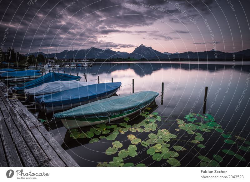 Fishing boats at Lake Hopfensee Fishing (Angle) Mountain Environment Nature Landscape Water Sky Clouds Horizon Sunrise Sunset Summer Plant Blossom Alps Lakeside