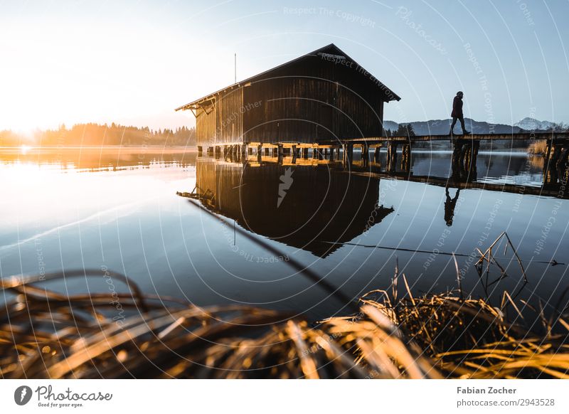 Hut at Hopfensee in the Allgäu region Feminine 1 Human being 18 - 30 years Youth (Young adults) Adults Nature Landscape Water Sky Sun Spring Beautiful weather