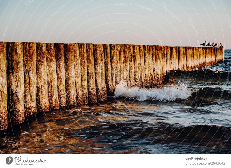 Breakwater on the beach of Kolberg Blue Baltic Sea Destination Trip Hiking Discover chill relax Architecture destination Travel photography Beach Tourism