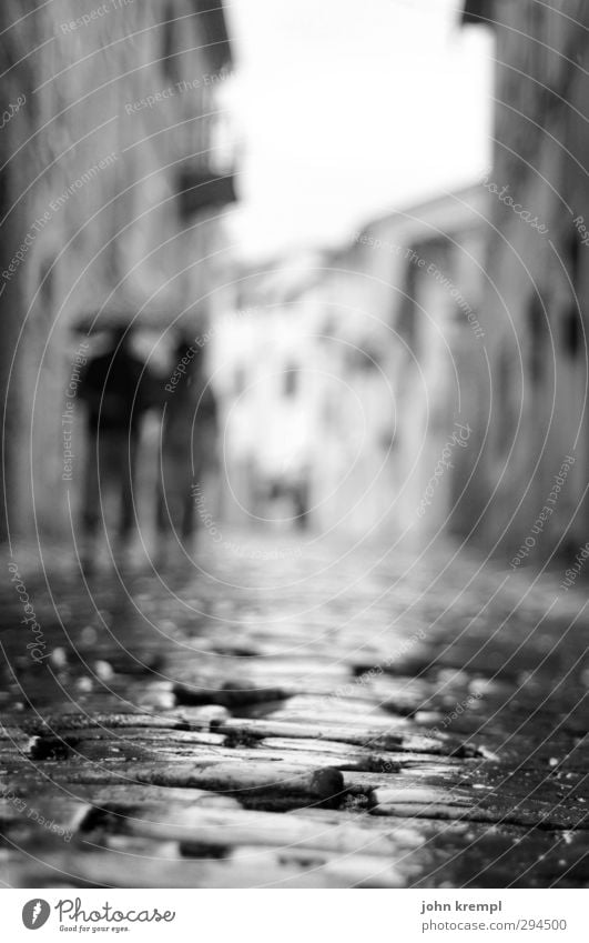 Idleness is all pavement beginning Bad weather Rain motovun Croatia Village Small Town Old town Building Architecture Wall (barrier) Wall (building) Street