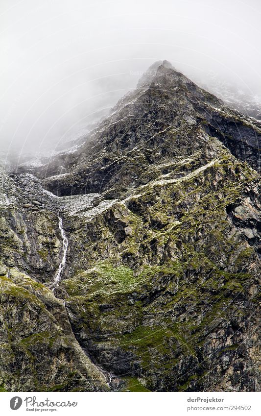 as painted Environment Nature Landscape Plant Elements Clouds Summer Bad weather Fog Alps Mountain Peak Touch Movement Dream Faded Growth Threat Cold Green