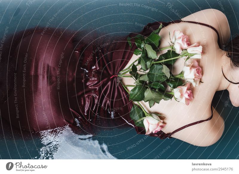 woman's back in purple dress filled with roses lying in bathtub Swimming & Bathing Bathroom Bathtub Beautiful Beauty Photography Flower Blossom Blue Decoration