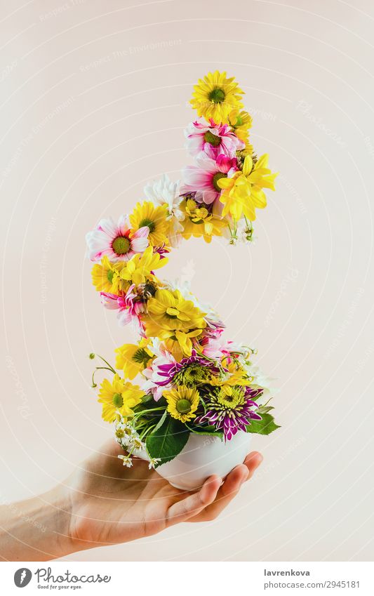 Woman's hand holding tea cup with flowers Pastel tone Selective Hold Hand Cup Mug Cup (trophy) Conceptual design Seasons Flower Plant Colour Blossom leave