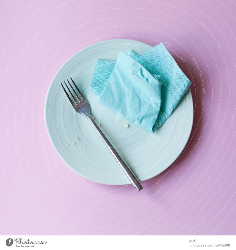 Empty plate Nutrition Eating Lunch Dinner Diet Crockery Plate Fork Napkin Delicious Joie de vivre (Vitality) Colour photo Interior shot Studio shot Close-up