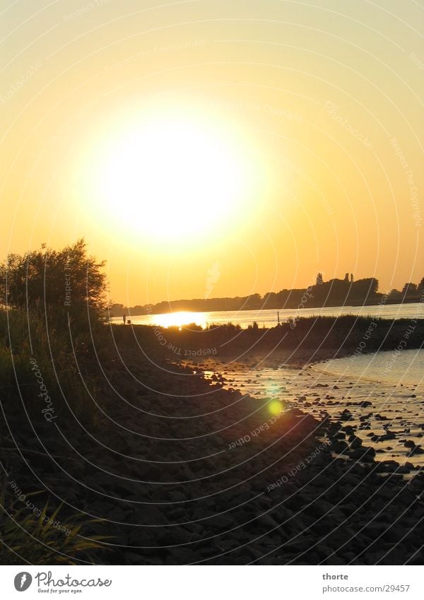 Elbe shortly before sun away Sunset Beach Evening River Stone Water