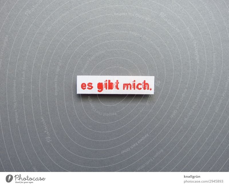 I exist. Characters Signs and labeling Communicate Uniqueness Gray Red White Emotions Self-confident Attentive Authentic Life Loneliness Human being