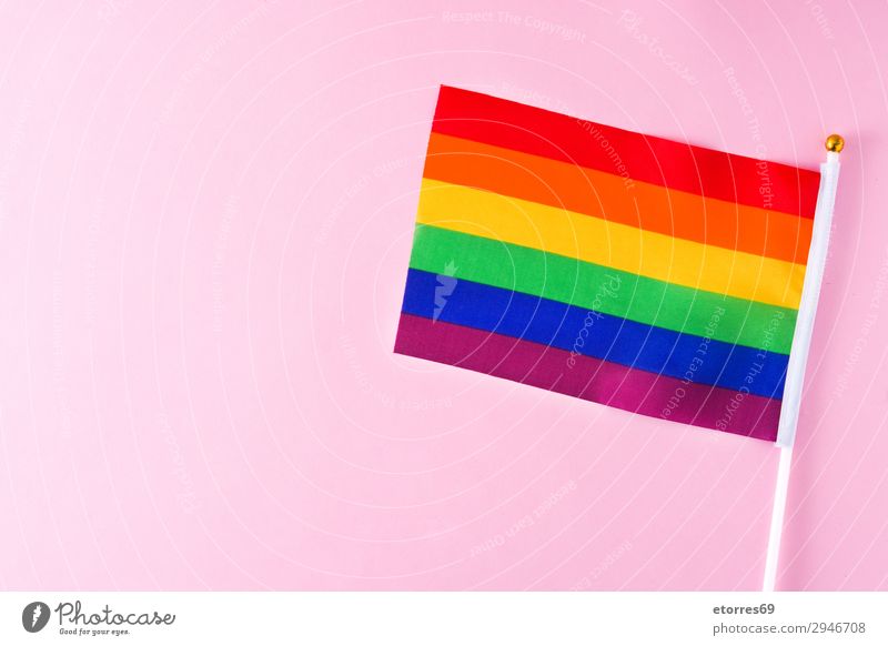 LGTB or rainbow flag. Gay pride flag. on pink background. Flag Homosexual lgtb Rainbow Pride Colour Red Yellow Symbols and metaphors Transgender representative