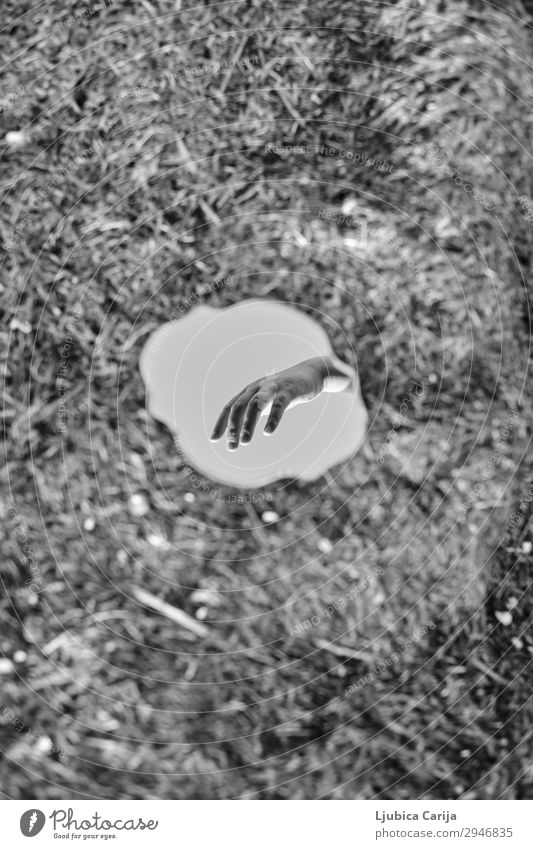 Reflection of a hand in the mirror Human being Masculine Hand Fingers 1 18 - 30 years Youth (Young adults) Adults Grass seegrass Beach Mirror Moody Anticipation