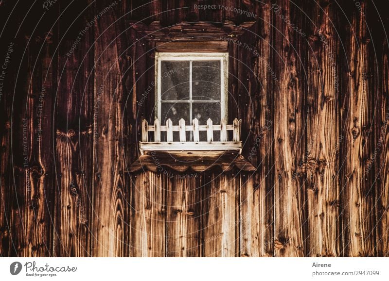 Flower box (without flowers) Wall (building) Window Brown Old Wood Idyll Building Wooden wall Hut house facade Simple Uniqueness Headstrong Patina Rustic