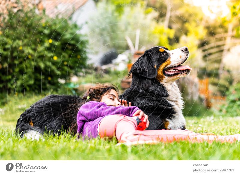 Little girl sleeping on top of a Bernese mountain dog Lifestyle Joy Happy Beautiful Vacation & Travel Summer Sun Garden Child Human being Feminine Toddler Girl