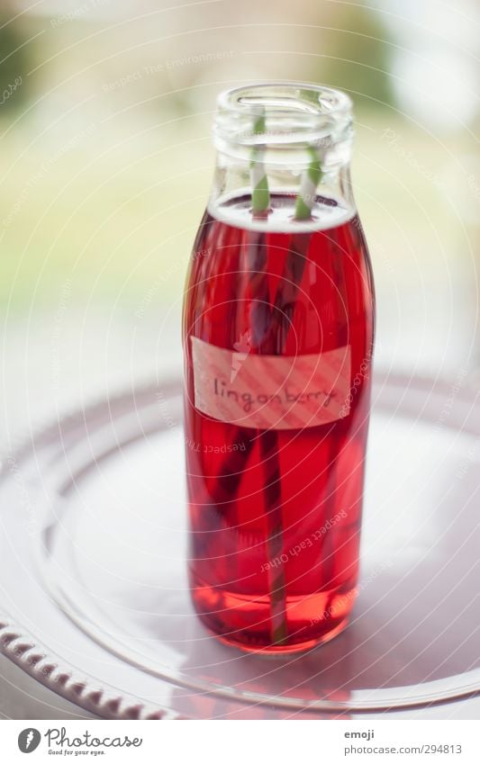 lingonberry juice Nutrition Picnic Beverage Cold drink Lemonade Juice Delicious Red Bottle Glassbottle Colour photo Close-up Deserted Neutral Background Day