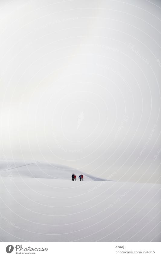 snowshoe walker 4 Human being Group Environment Nature Sky Clouds Winter Snow Alps Mountain Peak Snowcapped peak Bright Cold White Far-off places Remote