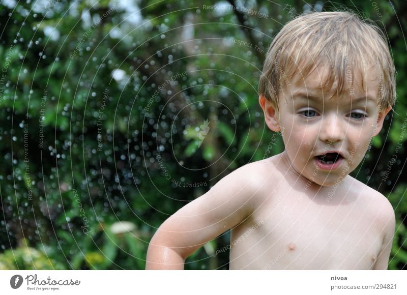 summer delights Playing Summer Sun Child Masculine Boy (child) Infancy Skin Hair and hairstyles Face Chest 3 - 8 years Water Drops of water Plant Tree Bushes