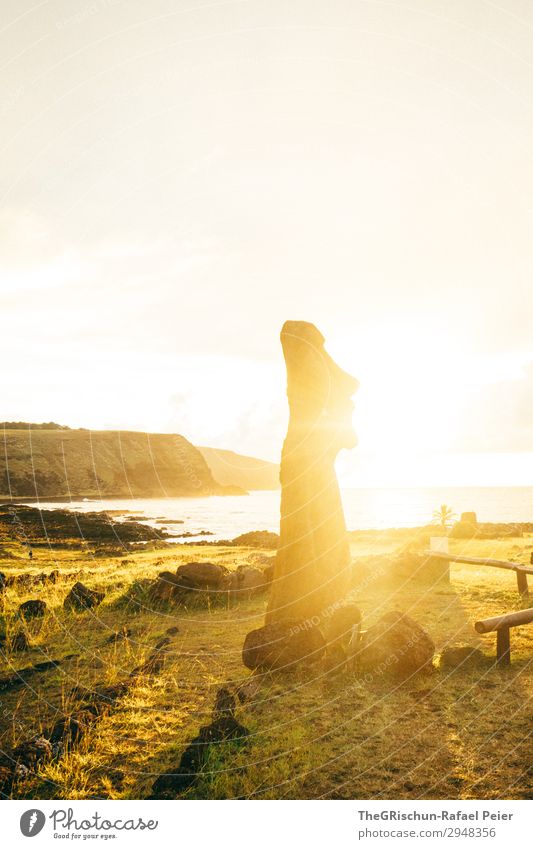 MOAI - Easter Island - Sunrise Nature Brown Yellow Gold moai Easter island Back-light Moody Silhouette Structures and shapes Coast Cliff Build Construct