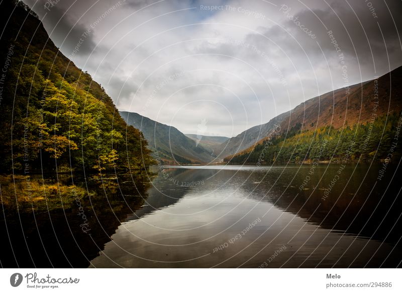 heavenly nature Nature Air Water Sky Autumn Tree Forest Hill Mountain Lakeside Dark Brown Green Orange Calm Adventure Colour photo Exterior shot