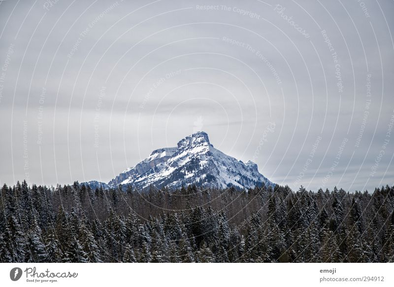 as far as there Environment Nature Winter Snow Forest Alps Mountain Peak Snowcapped peak Cold White Colour photo Exterior shot Deserted Copy Space top Day