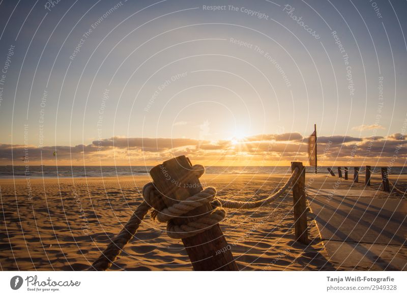 Sunset at the beach Summer vacation Beach Landscape Sand Water Sky Horizon Sunrise Coast North Sea Ocean Relaxation Colour photo Exterior shot Deserted