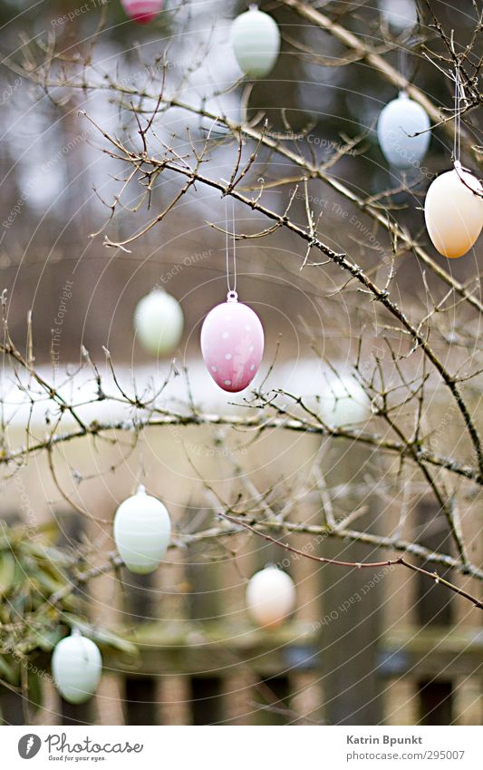 Happy E Garden Easter Bushes Pink Easter bush Easter egg Subdued colour Exterior shot Deserted Shallow depth of field