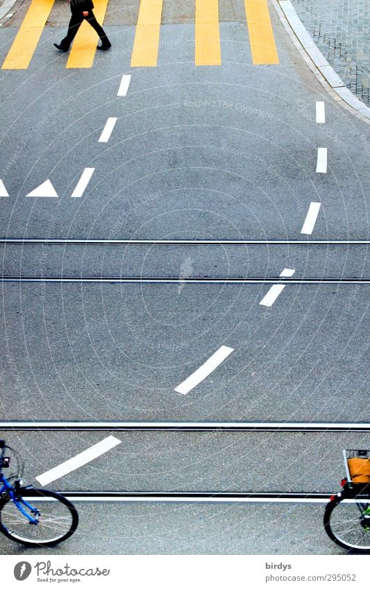 Road crossing with boundary lines, zebra crossing, pedestrians and cyclists Town Crossroads traffic guidance Transport Cycling Pedestrian Street Road junction