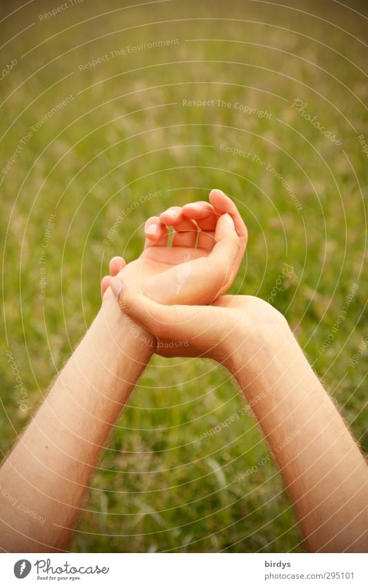 650 - take a break ? Relaxation Masculine Young man Youth (Young adults) Arm Hand 1 Human being Nature Summer Beautiful weather Meadow To hold on Esthetic