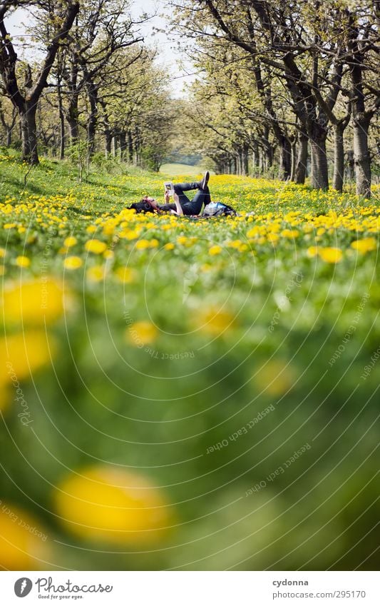 Time out in the countryside Lifestyle Healthy Harmonious Well-being Relaxation Calm Reading Vacation & Travel Trip Freedom Human being Young man