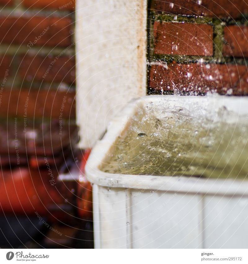 Cologne [CW] 03/13 | Melted snowflakes Brick Plastic Water Fluid Glittering Beautiful Near Red Jump Splash Inject churned Seam Column Wall (building) Crate