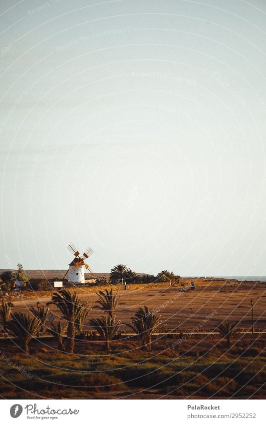 #A# desert mill Art Esthetic Mill Fuerteventura Desert Vacation photo Spain Palm tree Colour photo Exterior shot Experimental Deserted Copy Space left