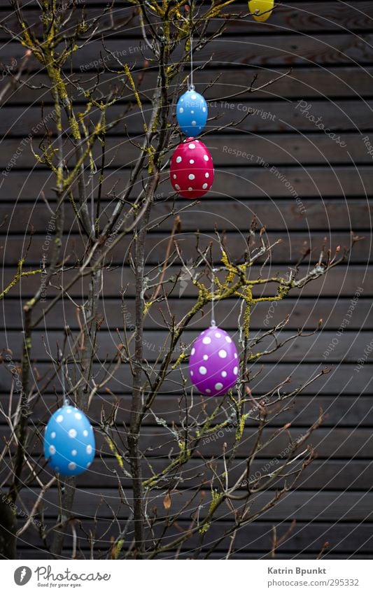 Happy E 2 Easter Blue Violet Red Easter egg Spotted Colour photo Exterior shot Deserted