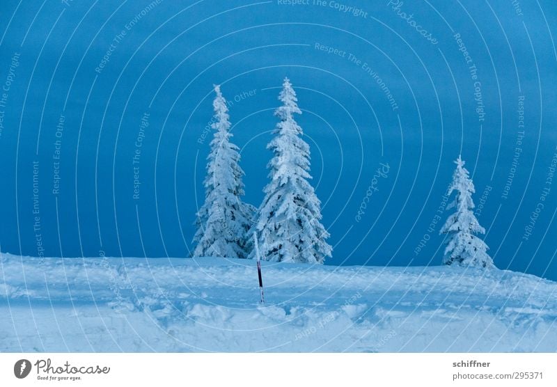 The last one turns off the light Environment Nature Landscape Plant Sky Clouds Winter Ice Frost Snow Tree Mountain Snowcapped peak Dark Cold Blue Loneliness