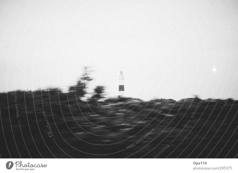 blurred Nature Landscape Plant Animal Sunrise Sunset Summer Grass Bushes Foliage plant Observe Driving Black White Art Environment "Sylt Lighthouse Kampen Moon