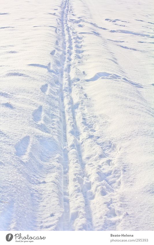 Just always running in the track, Timmitom ... Life Trip Winter Snow Winter vacation Winter sports Hiking Sunlight Beautiful weather Lanes & trails Line White