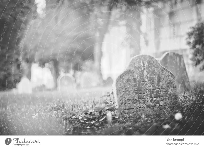 Old gravestones | Venezia I Venice Italy Port City Old town Cemetery Tourist Attraction Stone Characters Dark Historic Romance Compassion To console Sadness