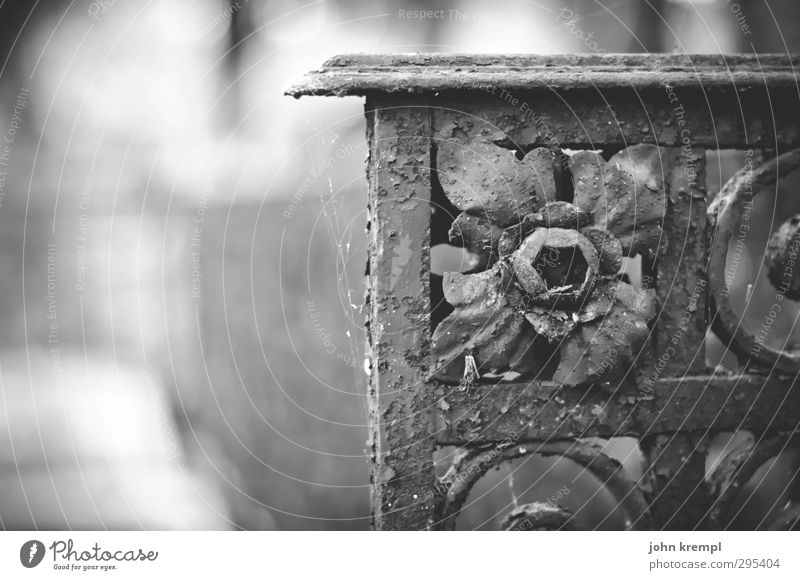 Old gravestones | Venezia III Venice Italy Cemetery Wrought iron Tourist Attraction Dark Historic Romance Peaceful Goodness To console Sadness Grief Death