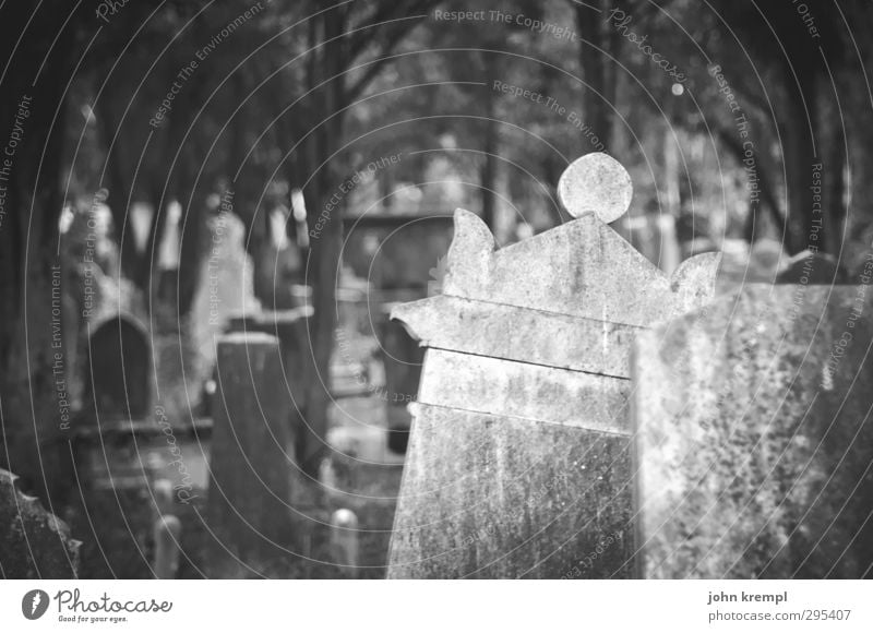 Old gravestones | Venezia V Venice Italy Old town Cemetery Tourist Attraction Stone Dark Creepy Historic Compassion Goodness To console Sadness Concern Grief