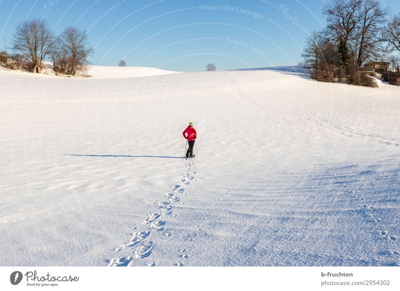 snowshoe hike Athletic Fitness Contentment Calm Freedom Snow Winter vacation Hiking Beautiful weather Hill Going Fresh Healthy Snow shoes Winter sports