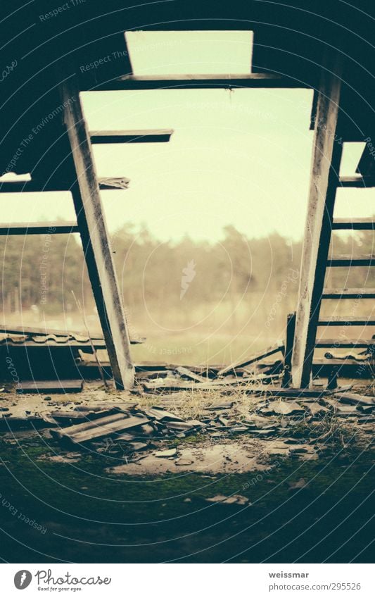 rooftop terrace Small Town Outskirts Deserted House (Residential Structure) Ruin Roof Wood Old Dirty Calm Loneliness Decline Past Transience Colour photo