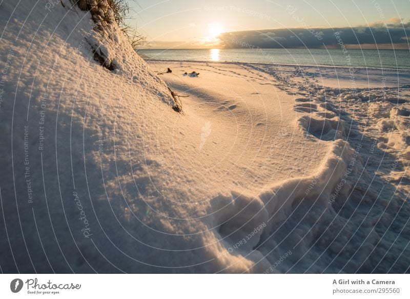 This spring is somehow shit Environment Nature Landscape Sky Winter Beautiful weather Ice Frost Snow Coast Baltic Sea Freeze Subdued colour Exterior shot