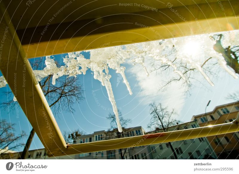 icicles Frost Cold Snow Snow layer wallroth Weather Winter Winter light Thaw Icicle Ice Sun Back-light Tree Sky Day Bright Metal Rod linkage