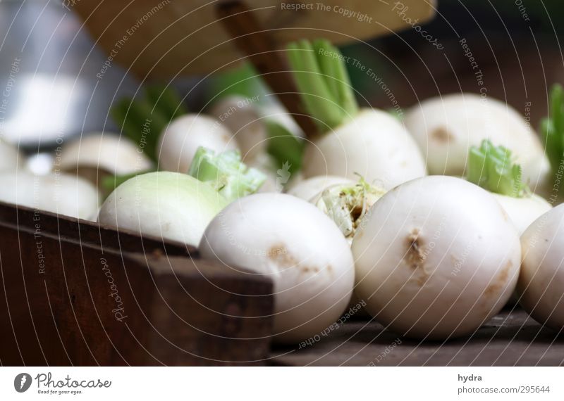 Market observation: radish Food Vegetable Nutrition Eating Organic produce Vegetarian diet Healthy Eating Markets Market stall To enjoy Simple Fresh Delicious