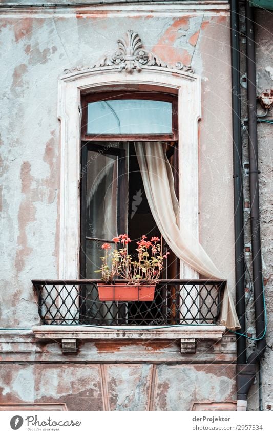 Window with flower box in Feltre Central perspective Deep depth of field Vacation photo Italy Tourist Attraction Authentic Hip & trendy Dream house Modest