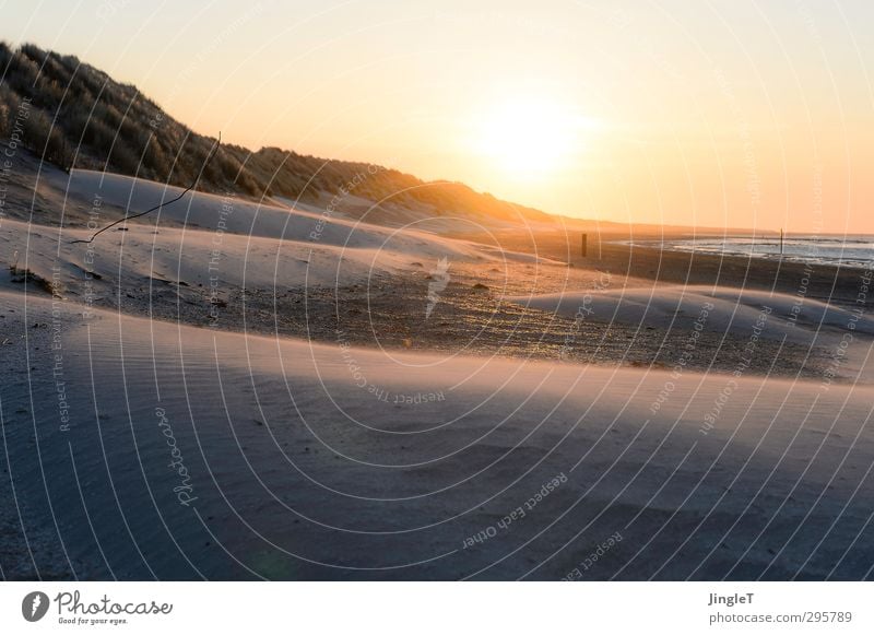 breeze of sand Landscape Sky Sunset Sunlight Beautiful weather Beach Discover Hiking Infinity Brown Gold Red White Power Longing Wanderlust Hope Horizon Value