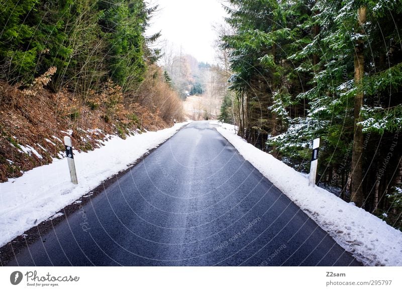 woidstraß Winter Snow Environment Nature Landscape Forest Traffic infrastructure Street Lanes & trails Dark Cold Above Blue Green Calm Loneliness Dangerous