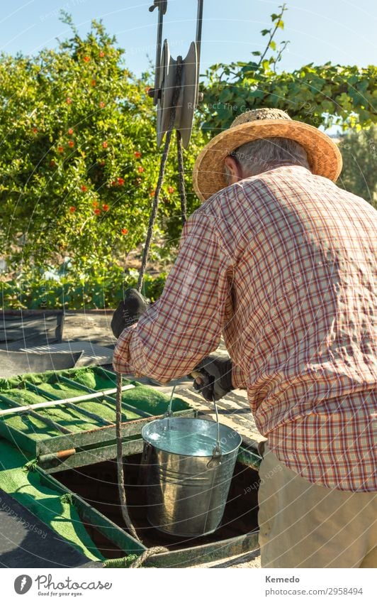 Old farmer with straw hat drawing water from an old well. Vegetable Lifestyle Beautiful Health care Athletic Wellness Harmonious Well-being Calm