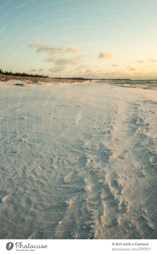 ^ Environment Nature Landscape Sky Clouds Winter Snow Coast Baltic Sea Zingst Darss Western Beach Long Clean Soft White Far-off places Subdued colour