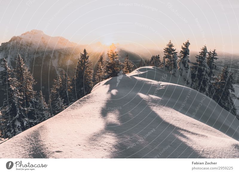 Sunset at Tegelberg Mountain Nature Landscape Sky only Sunrise Winter Beautiful weather Forest Alps Hiking Bright Sustainability White Power Freedom Allgäu